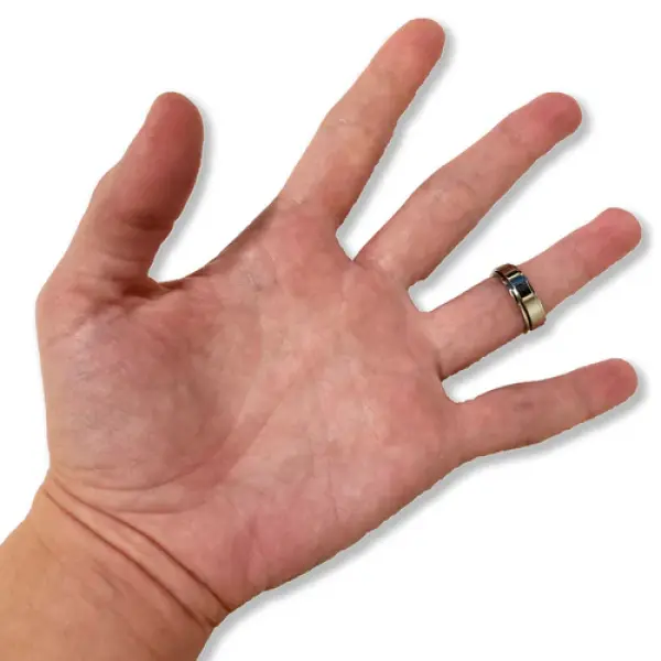 Spinning Ring - Silver